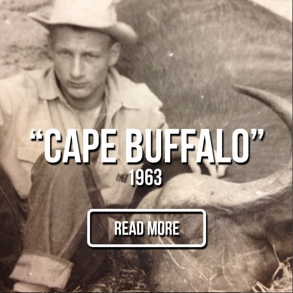 Blood Origins Cape Buffalo 1963