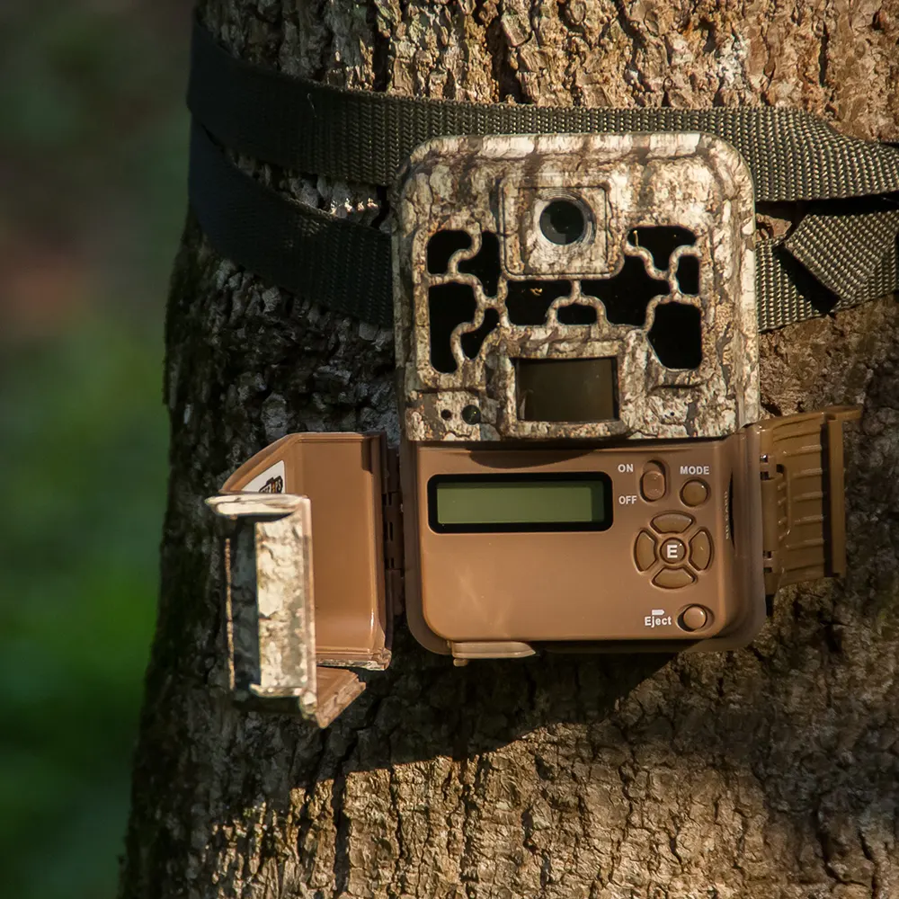 Balancing Tradition and Technology: Arizona’s Trail Camera Debate