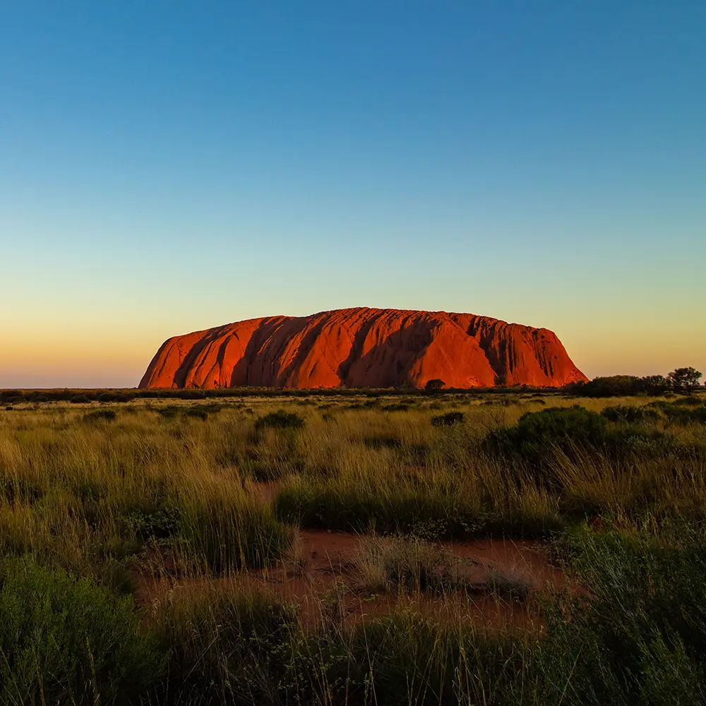 Protecting the Future of Hunting: Why Australian Hunters Must Engage with POCTA Reforms