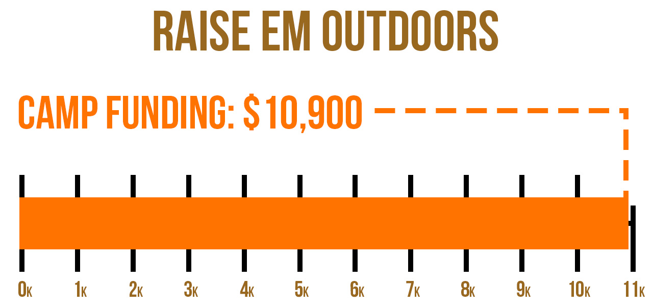 Blood Origins Project Funding Graph Raise Em Outdoors TOTAL MOBILE