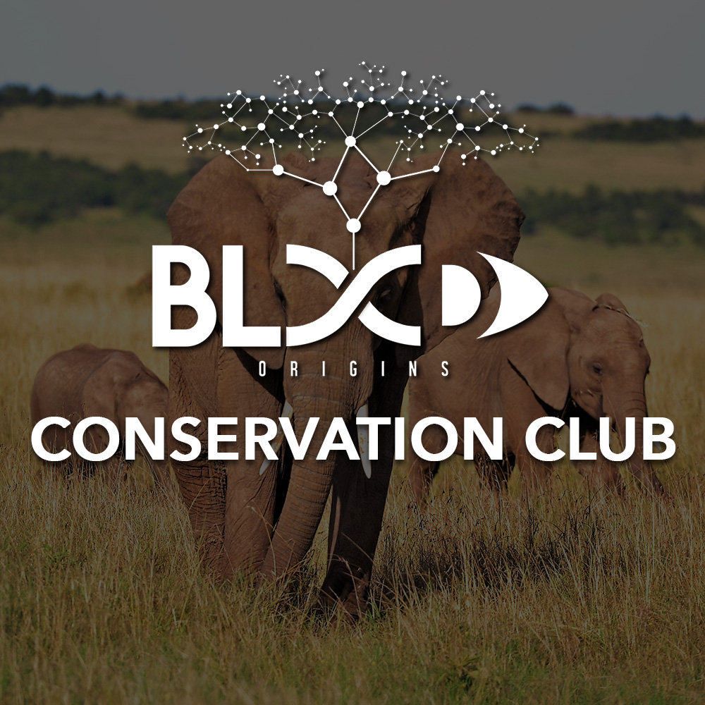blood origins conservation club banner mobile