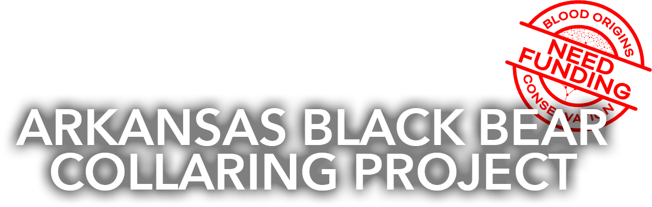 Arkansas Black Bear Collaring Project NEEDS FUNDING