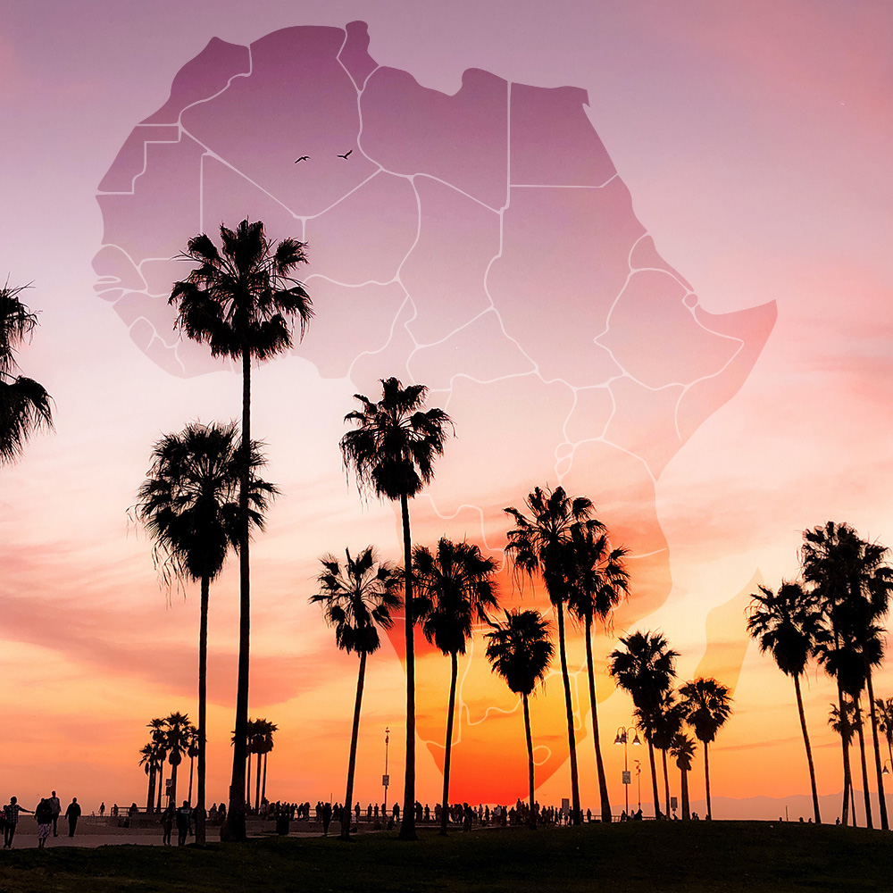 California Wants to Decide Africa's Future