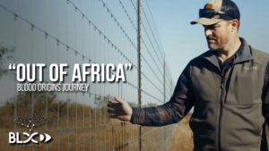 Blood Origins Journey - Out of Africa