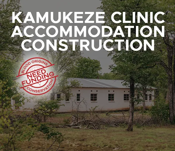 blood origins Kamukeze Clinic Accommodation Construction project mobile banner