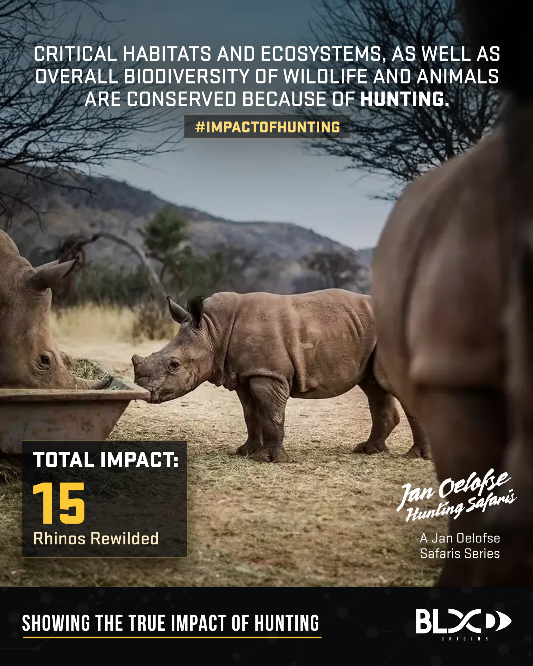 blood origins impacts rhinos rewilded namibia