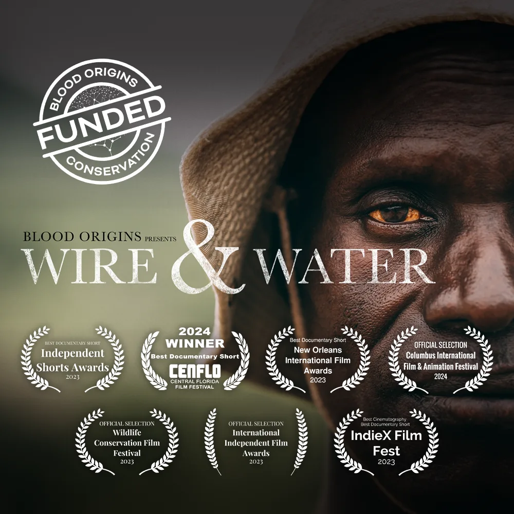 wire and water documentary thumbnail