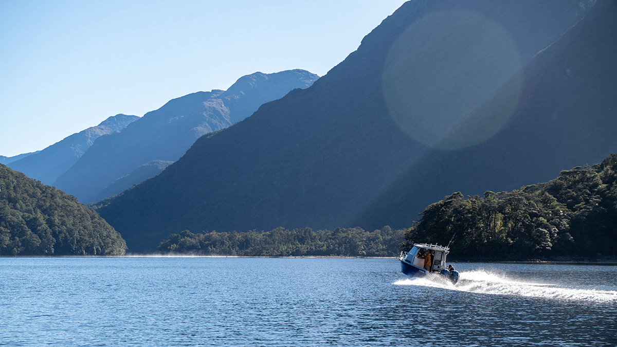 Fiordland Wapiti Foundation