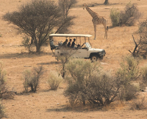 Drivers of hunting and photographic tourism income to communal conservancies in Namibia