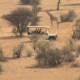 Drivers of hunting and photographic tourism income to communal conservancies in Namibia