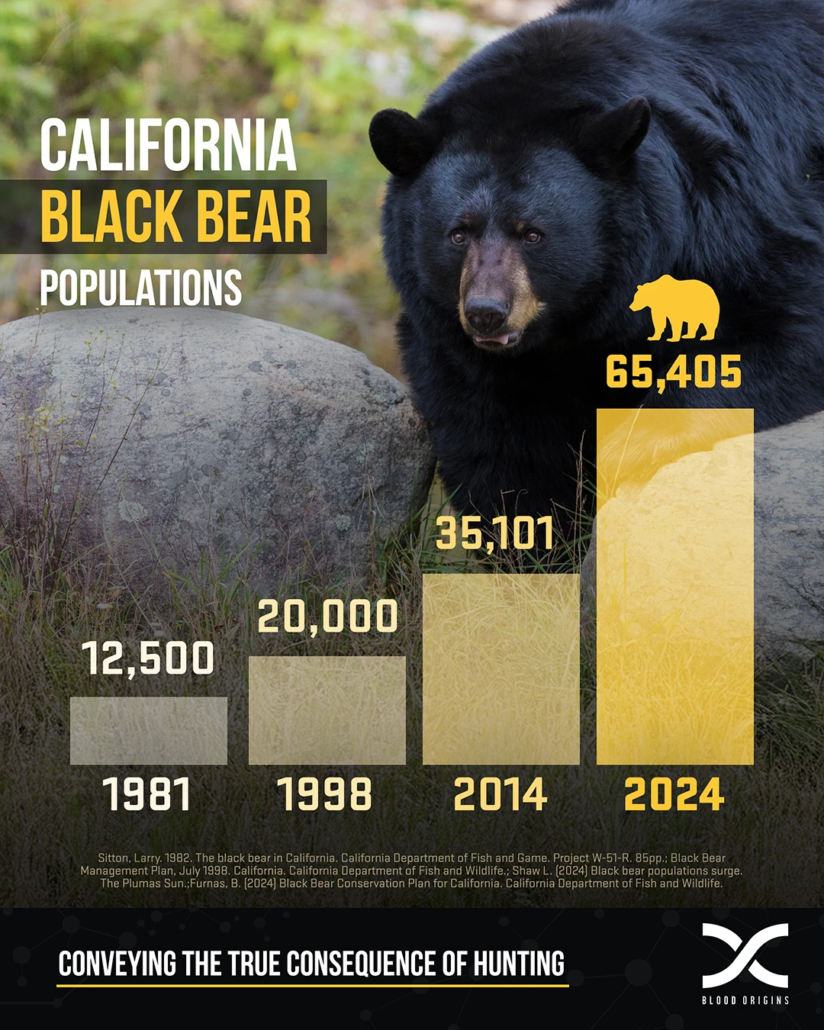 California Black Bear Populations