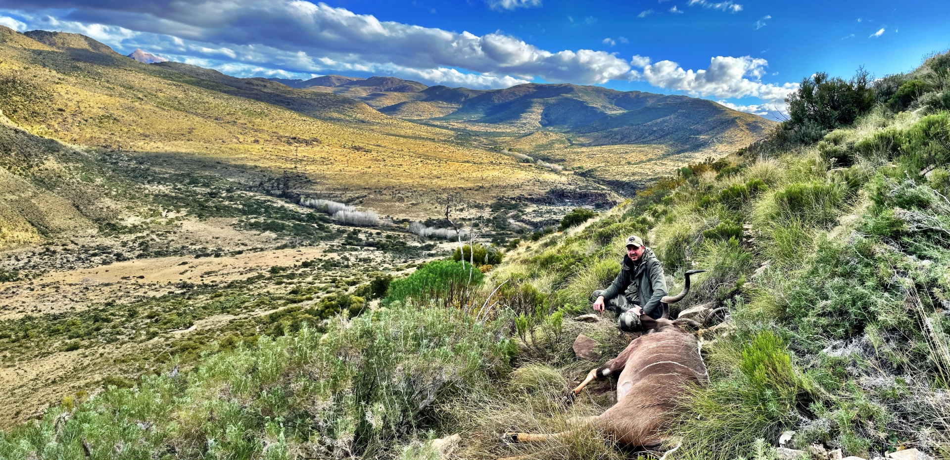 Conservation Partner: Braeside Safaris