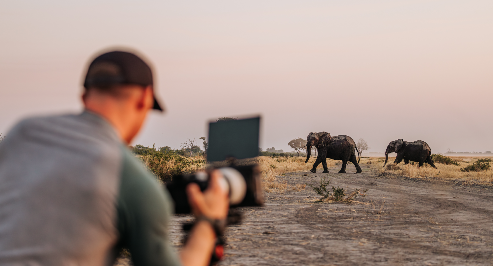 Understanding African Elephant Population Dynamics for Conservation