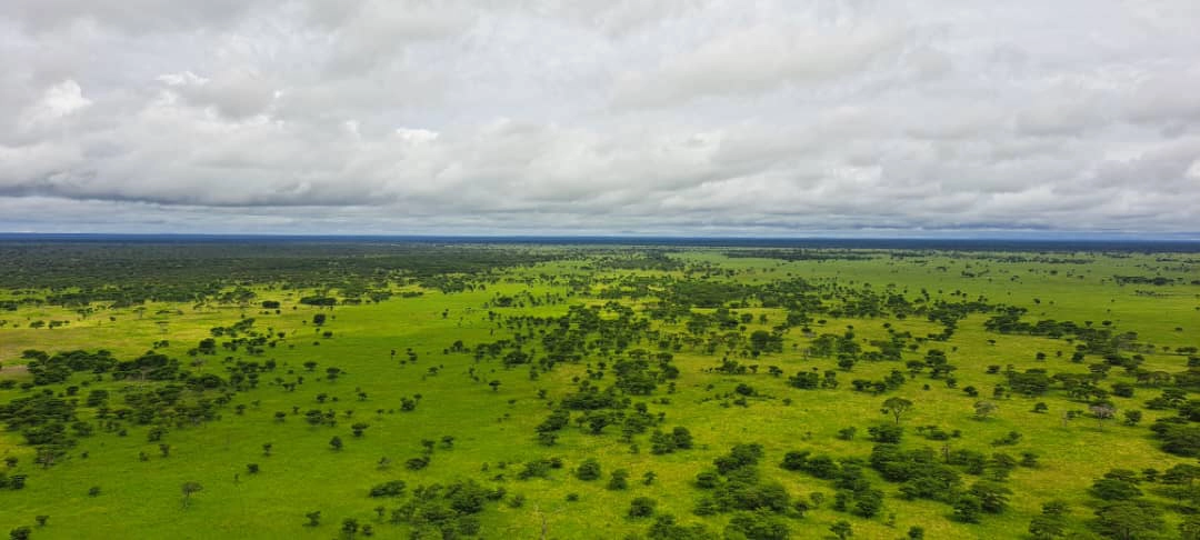 Project: Moyowosi Njingwe 2 Relay Station